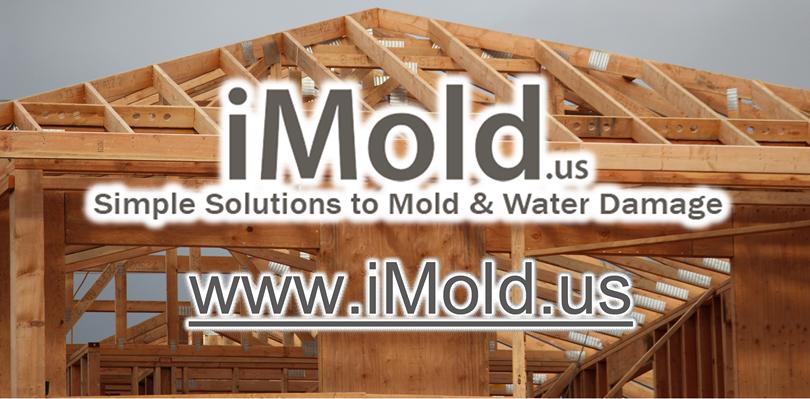 Microshield Mold Pretreatment